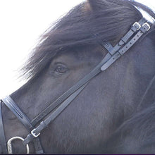 Indlæs billede til gallerivisning Kombineret / engelsk næserem fra Draupnir ORKA kollektionen til islandsk hest - combined flash noseband from Draupnir ORKA collection for icelandic horses