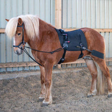 Indlæs billede til gallerivisning Longesystem til muskel opbygning fra EQUES rideudstyr til islandsk hest - Lunging system for muscle body building from EQUES equipement for icelandic horses
