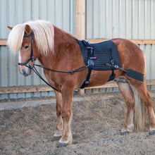 Indlæs billede til gallerivisning Indspændingstøjler til longering af islænder fra EQUES rideudstyr - side reins for lunging the icelandic horse from EQUES equipement
