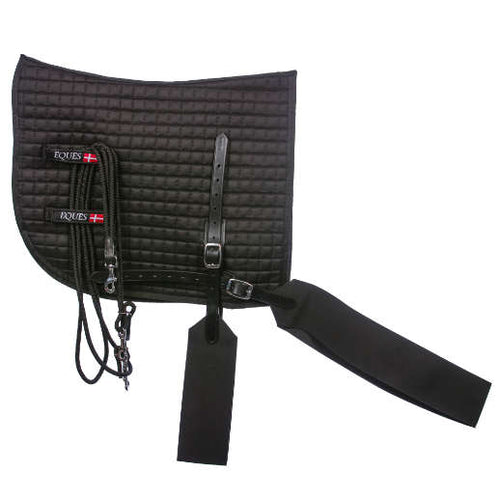 Longesystem til muskel opbygning fra EQUES rideudstyr til islandsk hest - Lunging system for muscle body building from EQUES equipement for icelandic horses