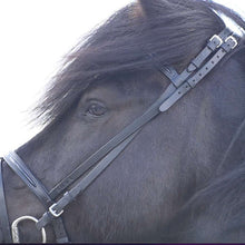 Indlæs billede til gallerivisning Nakkerem til islænder fra Draupnir ORKA kollektionen med pandebånd - headstall bitstraps for icelandic horse from Draupnir ORKA collection with browband
