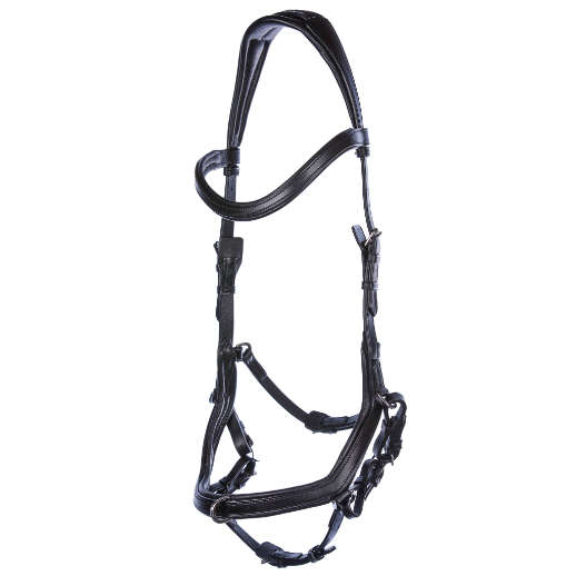 Trense til islandske unghest fra EQUES rideudstyr - headstall and noseband for young icelandic horses from EQUES equipement