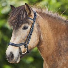Indlæs billede til gallerivisning Anatomisk hoved tøj til islandsk hest fra Waldhausen - Anatomical Icelandic horse bridle from Waldhausen
